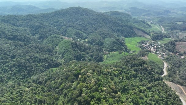 Nghe An residents to receive payments for forest-based greenhouse gas emission reductions